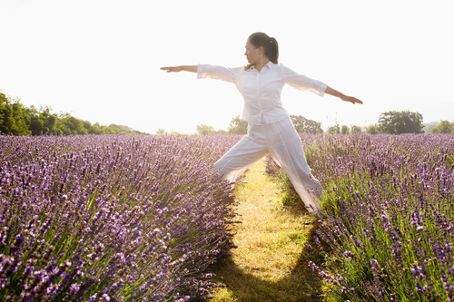 Frau praktiziert Yoga in einem Lavendelfeld